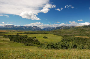 Photo of large landscape conservation