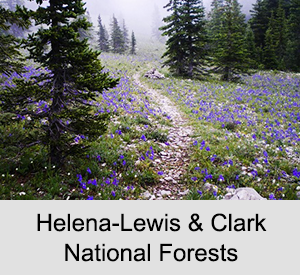 Helena-Lewis & Clark National Forests